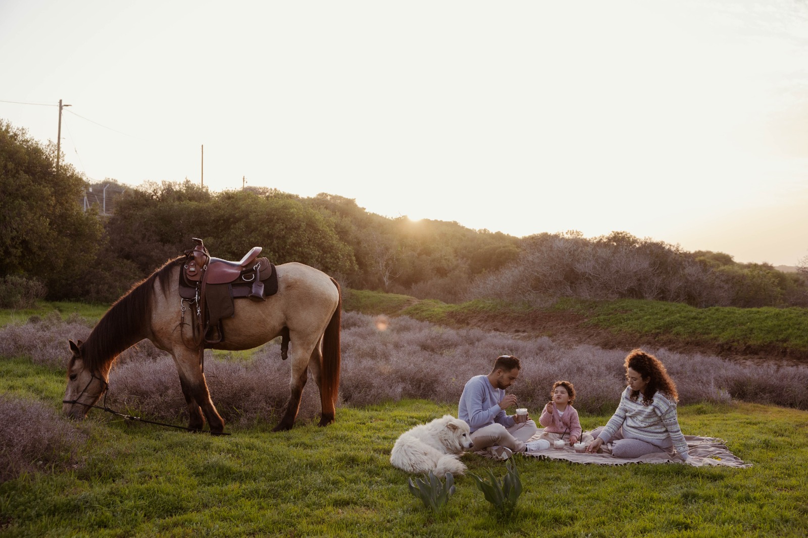 צילומי משפחה בטבע