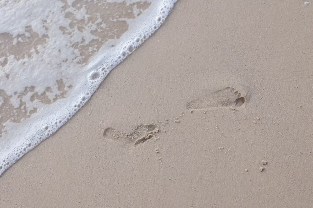 צילומי משפחה בטבע