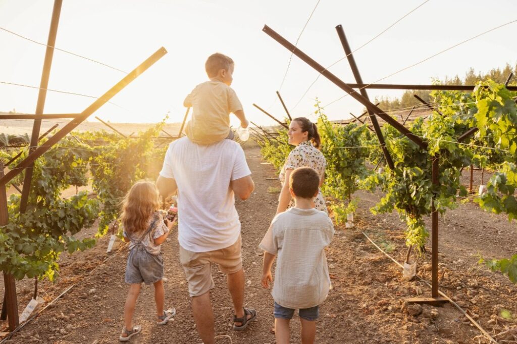צילומי משפחה