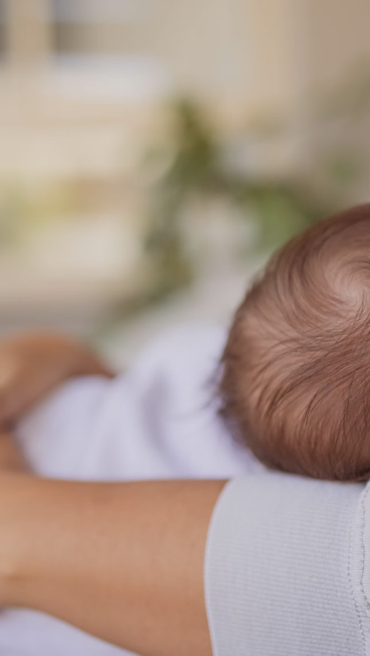 צילומי ניו בורן