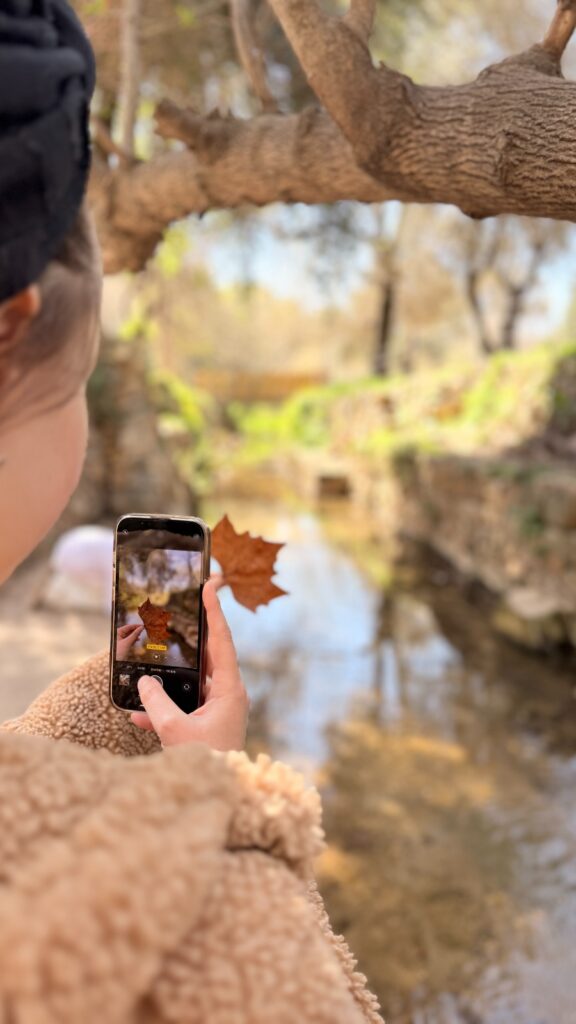 סדנאות צילום בסמרטפון